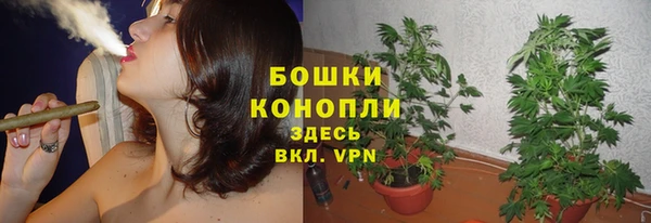 мет Протвино