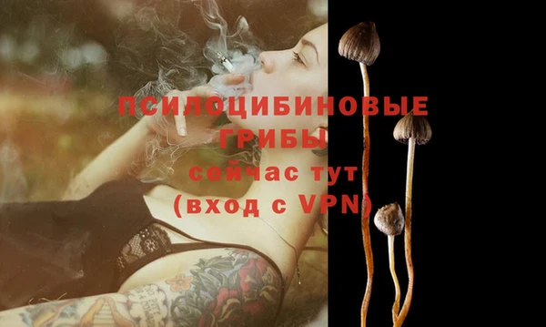 соль курить ск Алексеевка