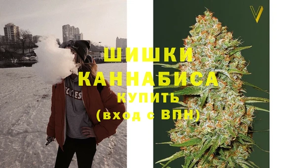 винт Алзамай