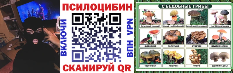 Галлюциногенные грибы Psilocybine cubensis  Рыбное 